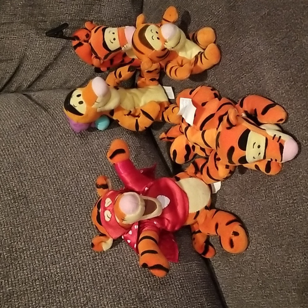 Tigger collectors dream come true. 5 plush and beanie small Tigger